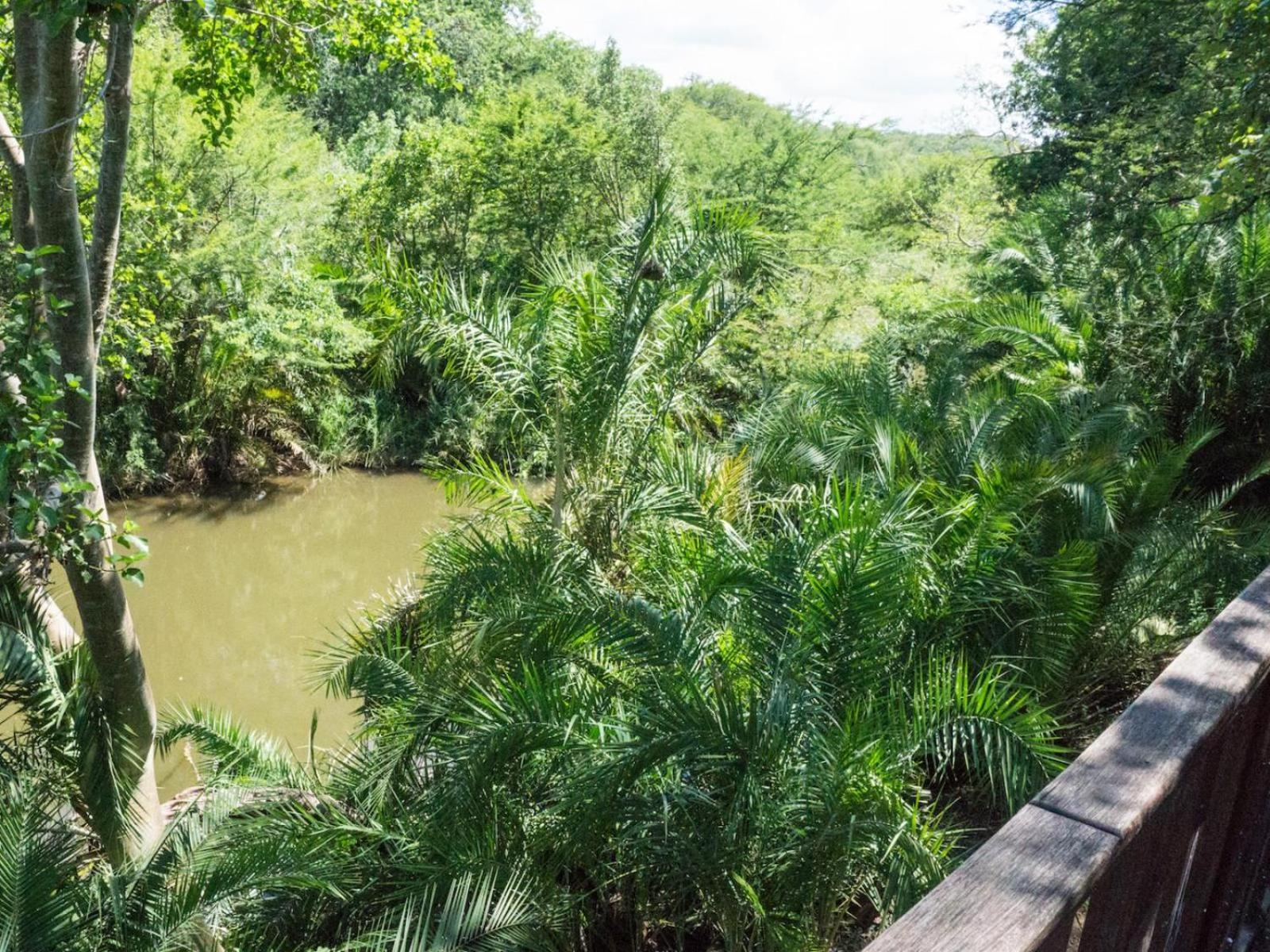 Mbuluzi Game Reserve Simunye Номер фото