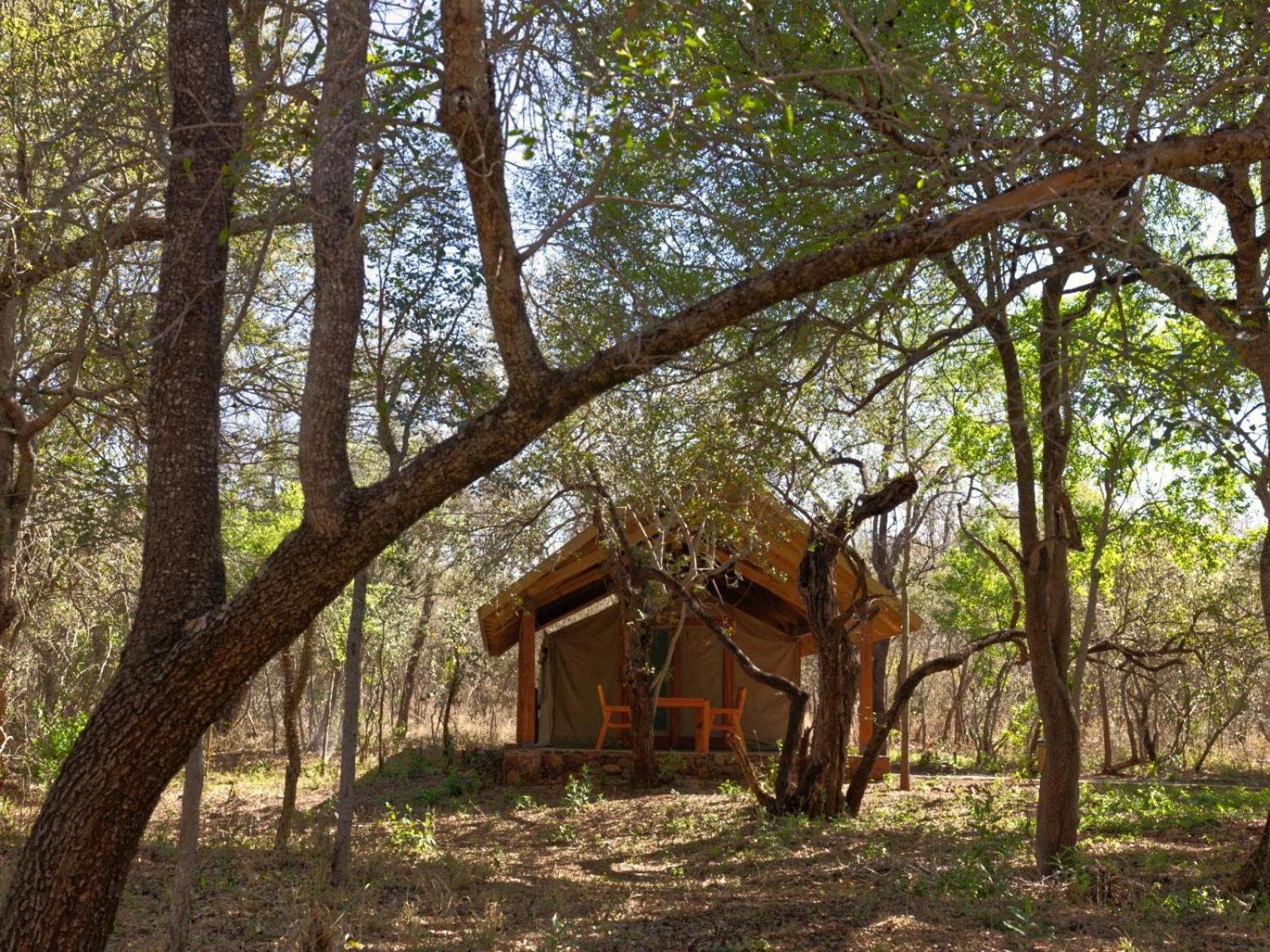 Mbuluzi Game Reserve Simunye Номер фото